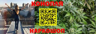 сатива Тара