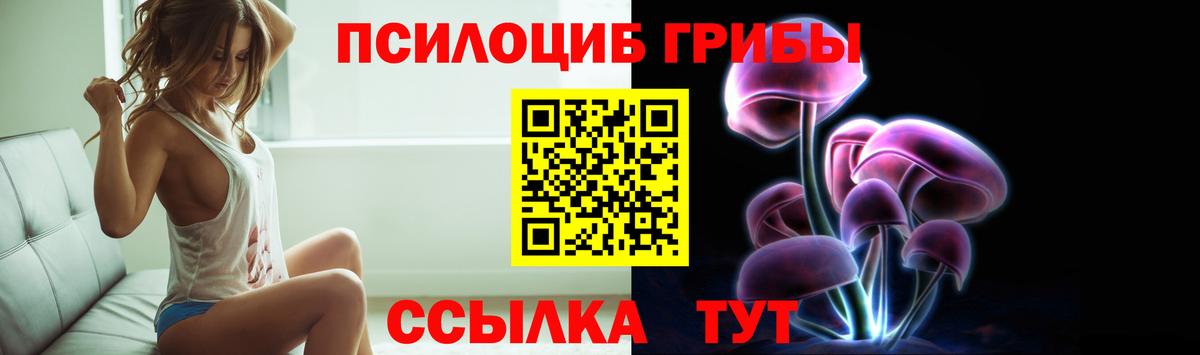 Псилоцибиновые грибы Psilocybe Первоуральск